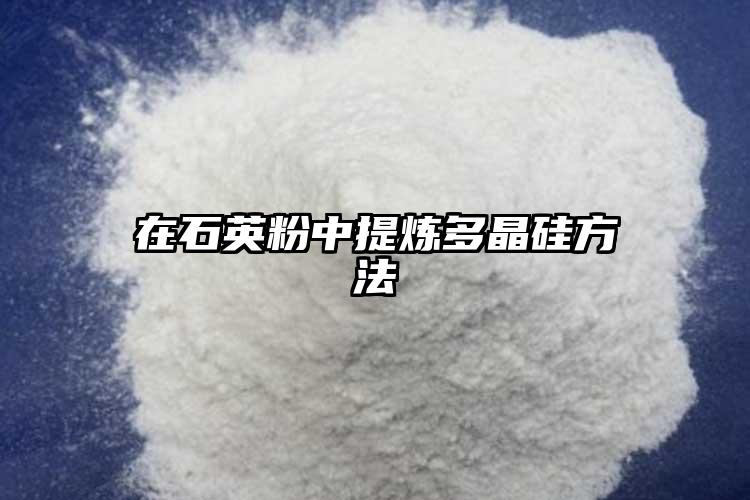 在小蝌蚪在线视频粉中提炼多晶硅方法