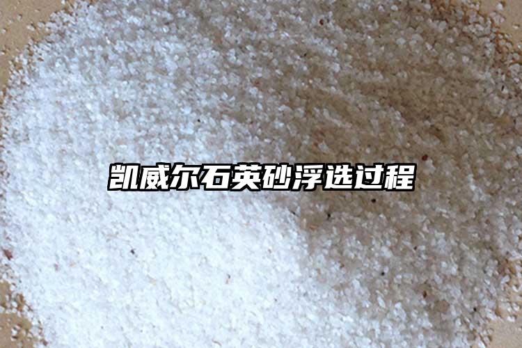 生产厂家小蝌蚪在线视频砂浮选过程