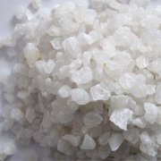 精制小蝌蚪在线视频砂