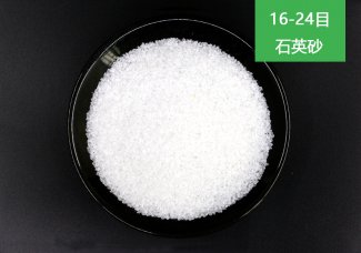 水处理小蝌蚪在线视频砂